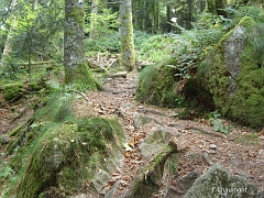 Ce petit sentier mène au sommet en empruntant une crête